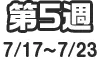 第5週